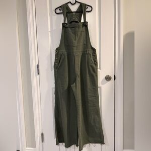 Aerie Olive Green Denim Overalls
